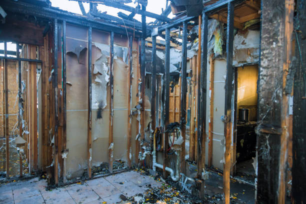 Professional Smoke Damage Removal technician working in Centennial, CO